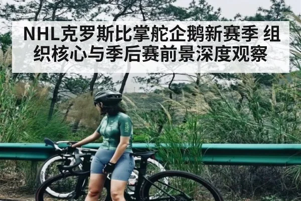 NHL克罗斯比掌舵企鹅新赛季 组织核心与季后赛前景深度观察 - kaiyun